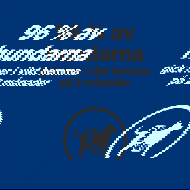 Hills Prescription Diet Canine Metabolic Chicken & Vegetables 156 g