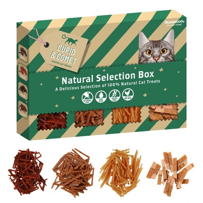 Rosewood Xmas Natural Treat Selection Godisbox för Katt 160 g