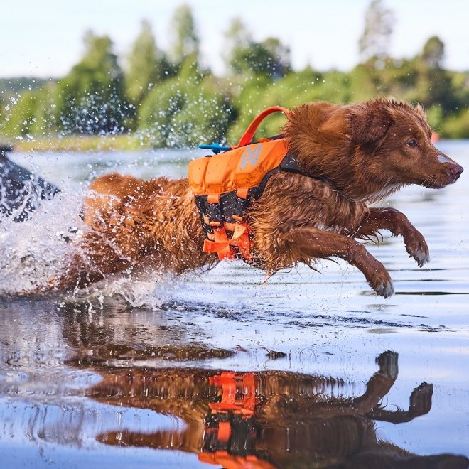 Non-Stop Dogwear Protector Flytväst till Hund Orange & Svart