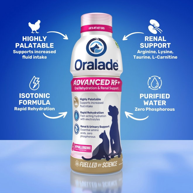 Oralade Advanced RF+ till Hund & Katt 500 ml