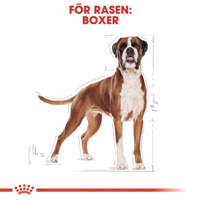 Royal Canin Breed Boxer Adult