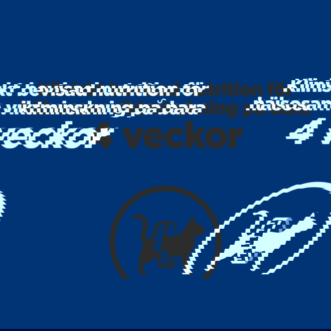 Hills Prescription Diet Feline r/d Weight Loss Chicken