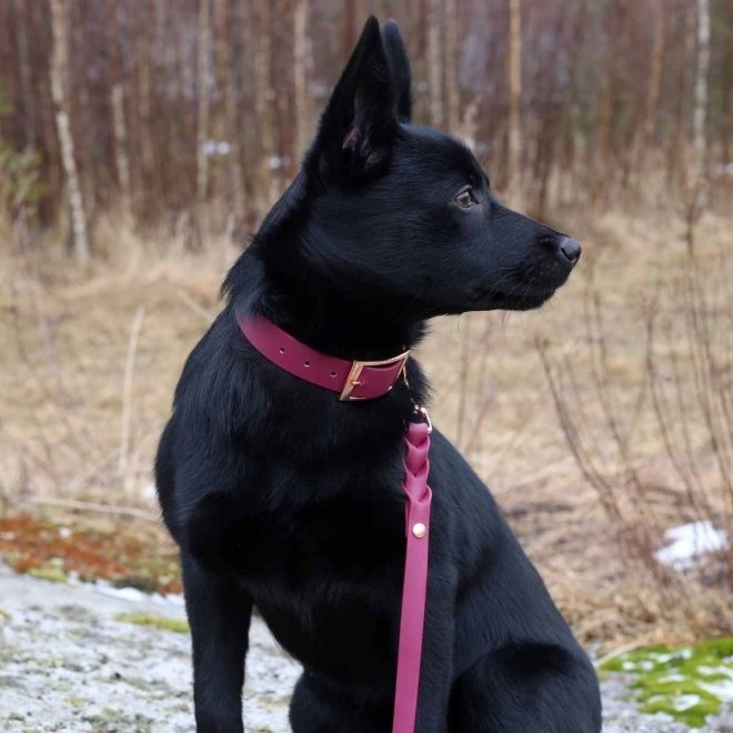 Tyylivoitto Classy Hundhalsband Vinröd