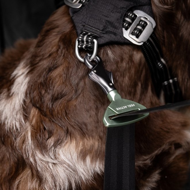 Feel Active Bilbälte till Hund Fäste till Säkerhetsbälte