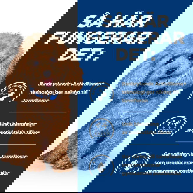 Hills Prescription Diet Canine Gastrointestinal Biome Mini Digestive/Fibre CareChicken