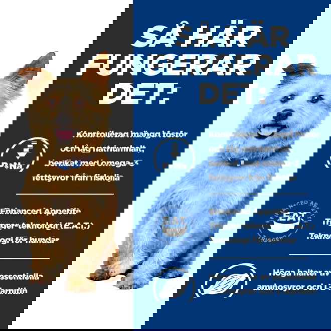 Hills Prescription Diet Canine k/d Kidney Care Chicken & Vegetable Stew 354 g