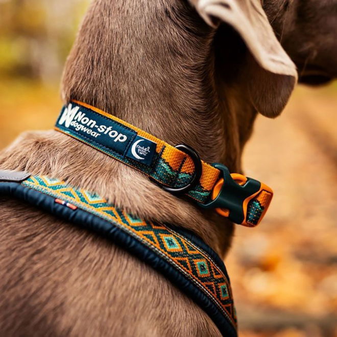 Non-stop Dogwear Trail Quest Rachel Pohl Hundhalsband Brun