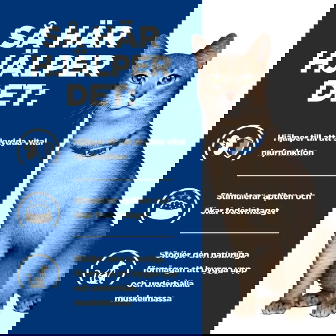 Hills Prescription Diet Feline k/d Kidney Care Salmon 12x85 g