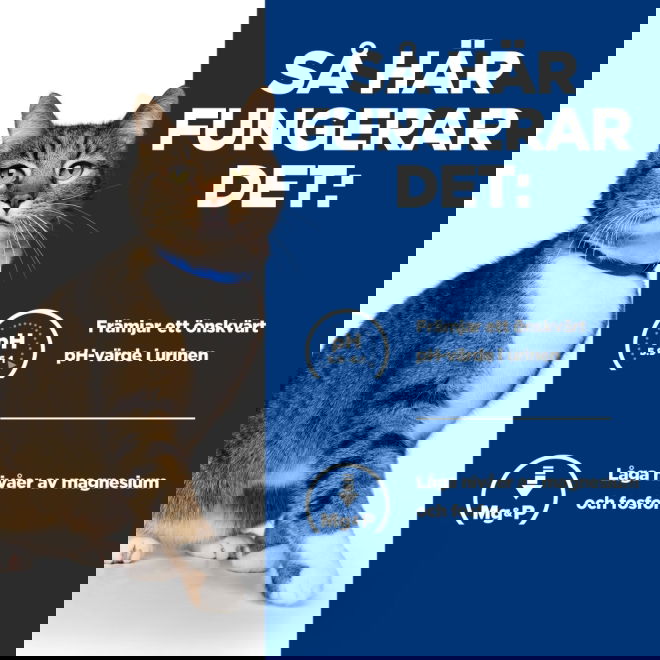 Hills Prescription Diet Feline s/d Urinary Care Chicken