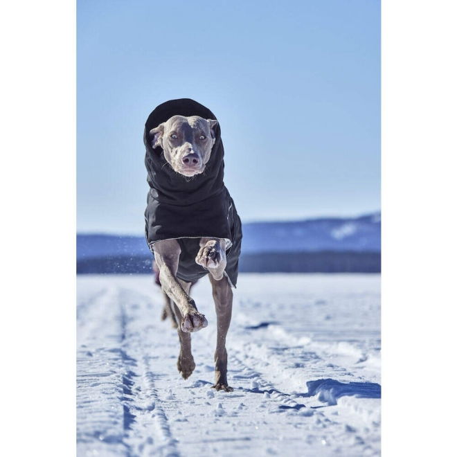 Hurtta Extreme Warmer III ECO Hundjacka Svart