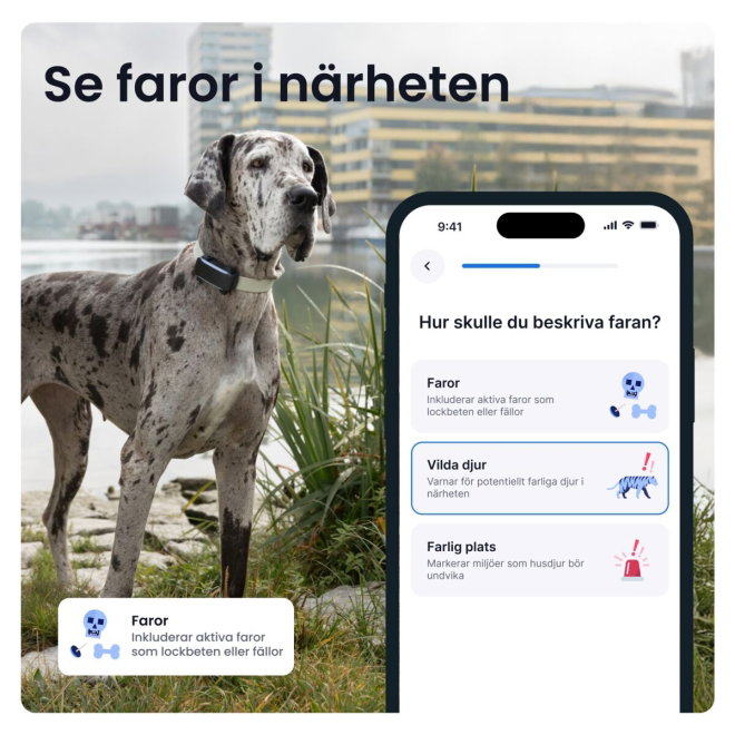 Tractive Dog 6 XL GPS till Hund