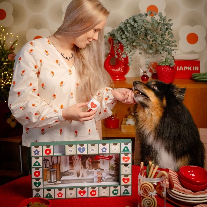 Xmas Tom Julkalender för Husdjur