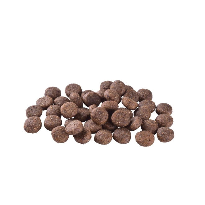 Brit Care Dog Adult Grain Free Salmon (3 kg)