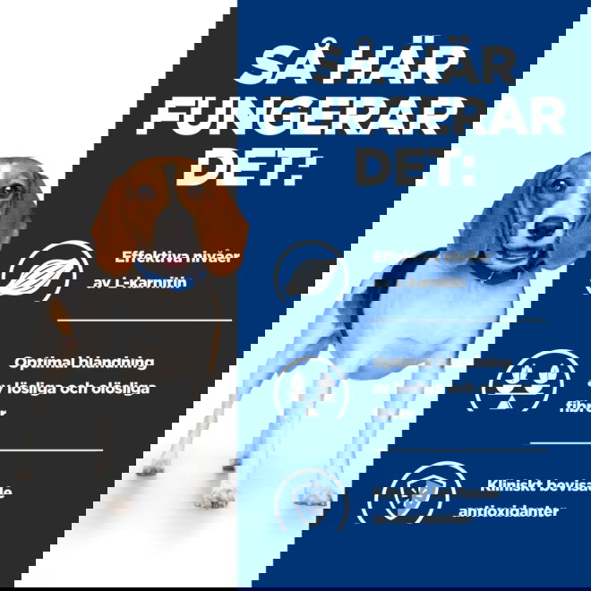 Hills Prescription Diet Canine r/d Weight Loss Chicken