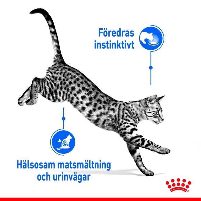 Royal Canin Cat Adult Indoor Sterilised Gravy 12x85 g