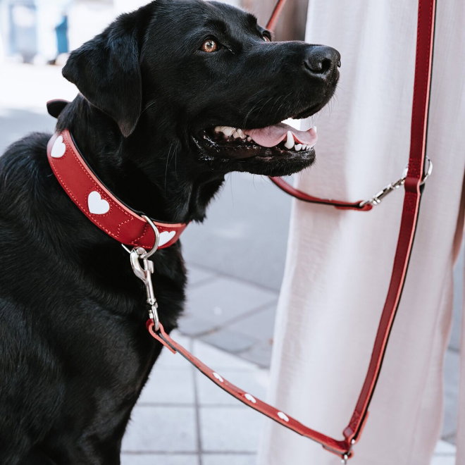 Hunter Hundhalsband L&auml;der Love R&ouml;d