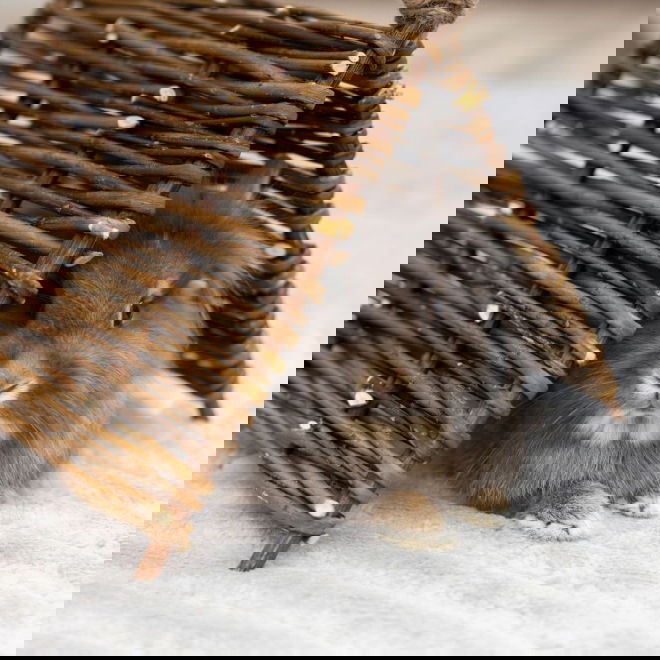 Kerbl Tipi-t&auml;lt f&ouml;r Sm&aring;djur