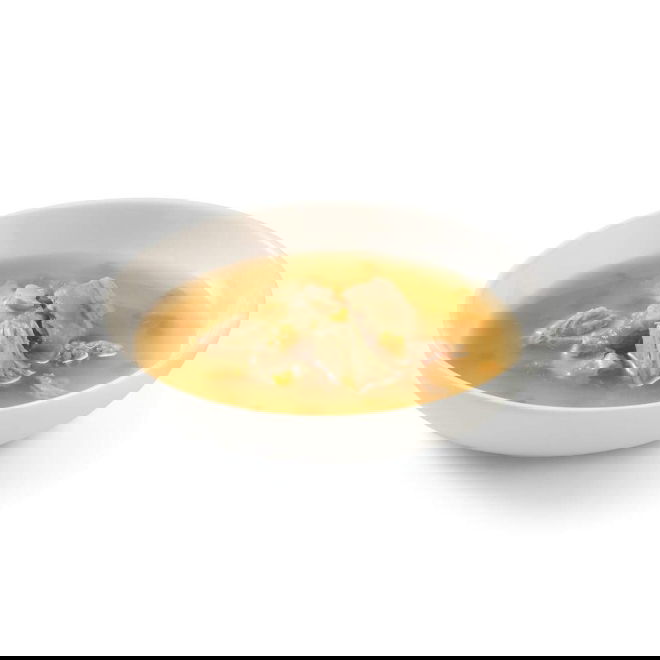 Schesir Cat Soup Lax med Morot 85 g