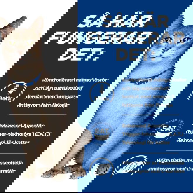 Hills Prescription Diet Feline k/d Kidney Care Stew Chicken & Vegetables 82 g