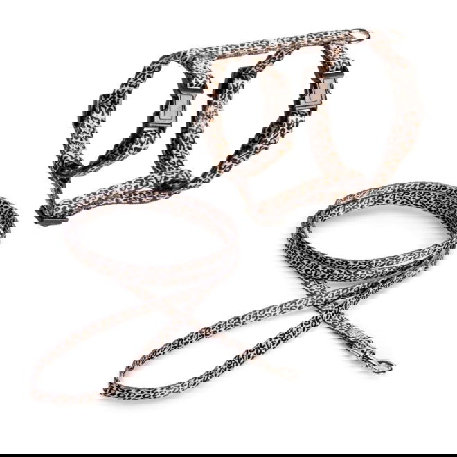 Basic Cat Sele + Koppel Leopard