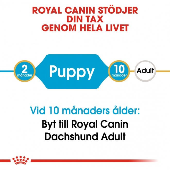 Royal Canin Breed Dachshund Junior 1,5 kg