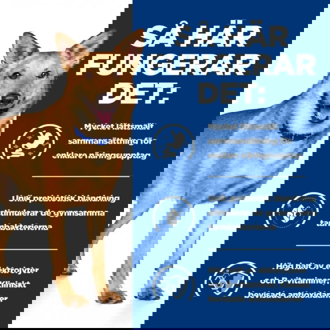 Hills Prescription Diet Canine i/d Digestive Care Turkey (200 g)