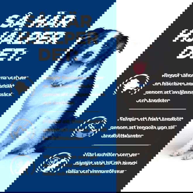 Hills Prescription Diet Canine t/d Dental Care Chicken