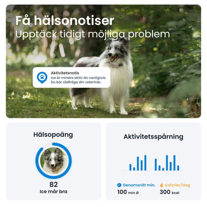 Tractive GPS & Health Tracker för Hund Brun