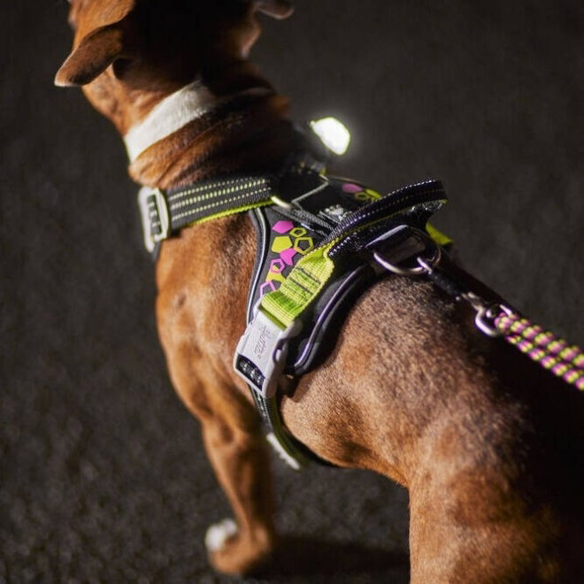 Hurtta Weekend Warrior Neon II Hundsele Svart