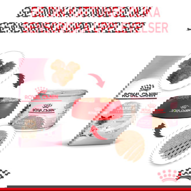 Royal Canin Mother & Babycat Mousse