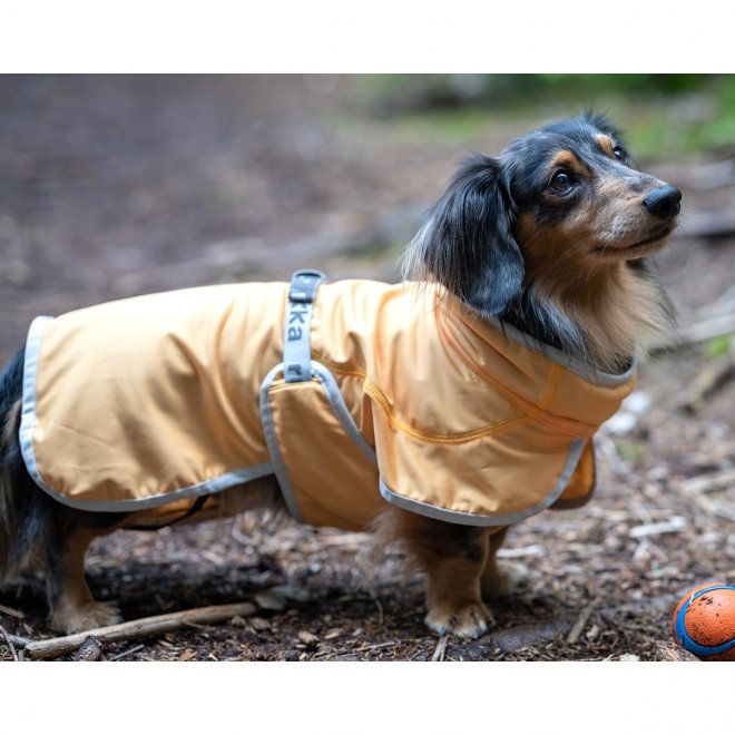 Rukka Crisp UV Kyltäcke Hund Aprikos