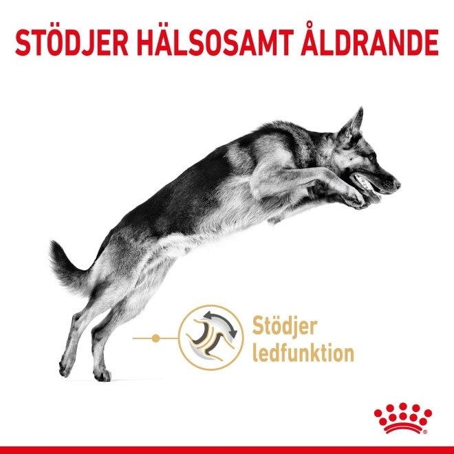 Royal Canin Breed German Shepherd Adult 5+ 12 kg