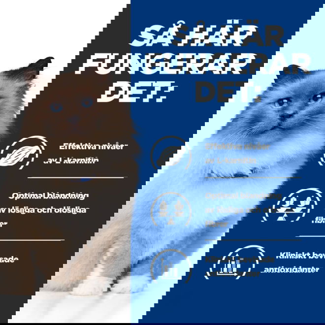 Hills Prescription Diet Feline r/d Weight Loss Chicken