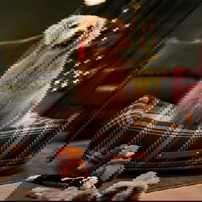 Little&Bigger Woodland Friends Ekorre