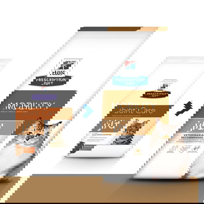 Hills Prescription Diet Feline j/d Mobility Chicken