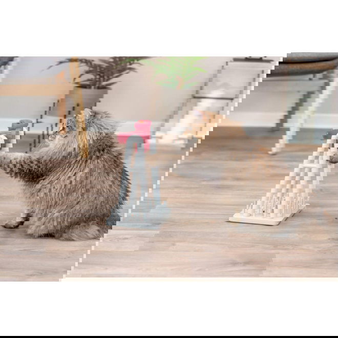 Trixie Katt Aktivitetsspel Turn Around