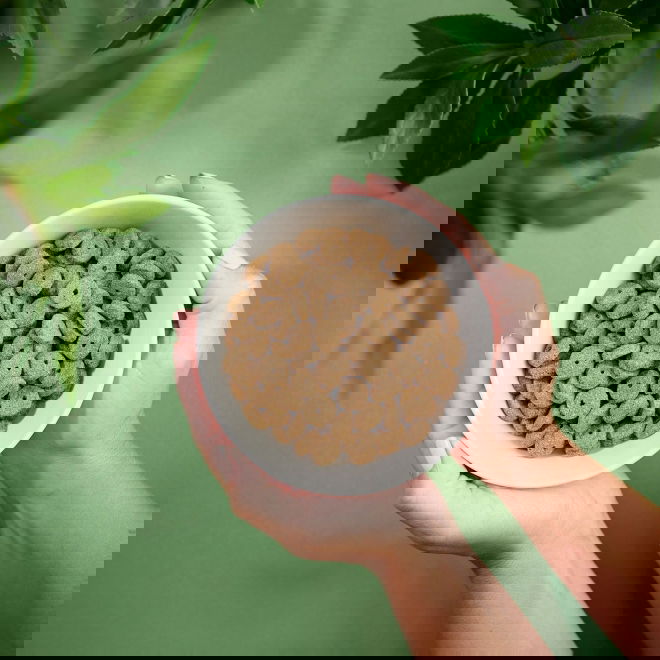 Purenatural Dog Adult Light Turkey (12 kg)