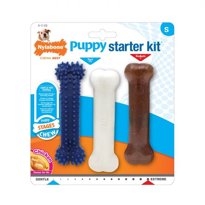 Nylabone Puppy Startpaket