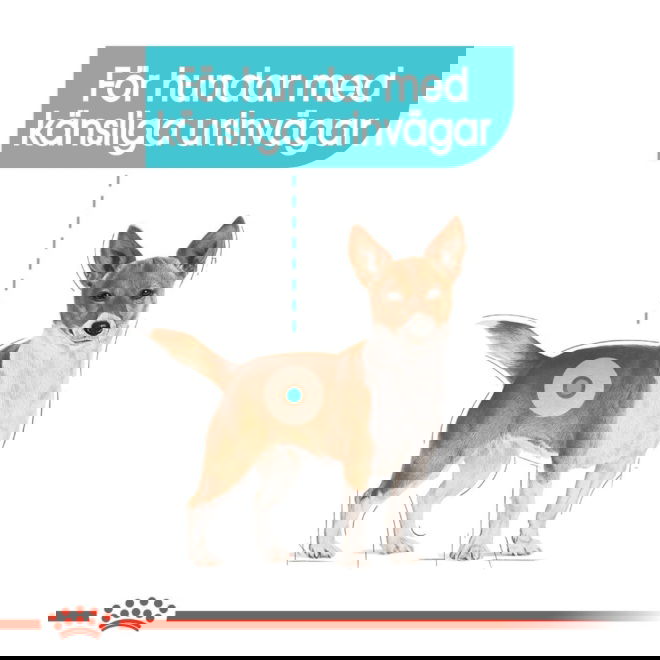 Royal Canin Urinary Care Mini Adult