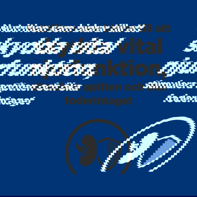 Hills Prescription Diet Canine k/d + Mobility Kidney + Joint Care Original