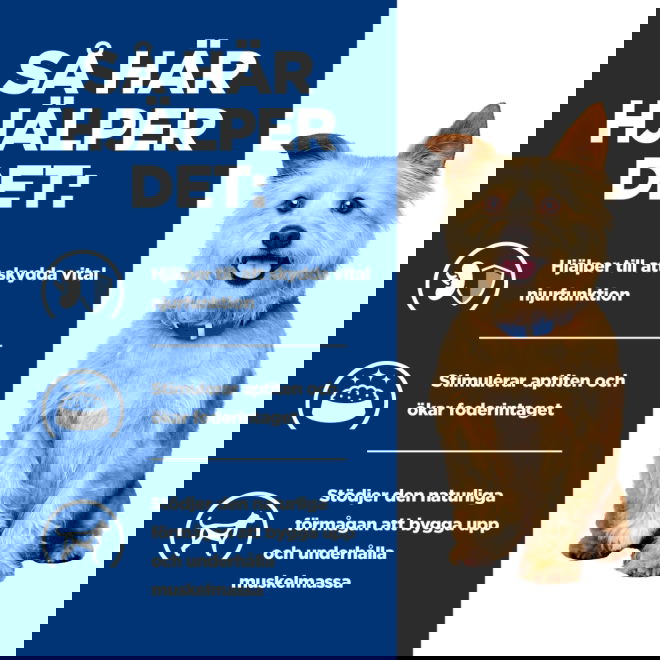 Hills Prescription Diet Canine k/d Kidney Care Chicken & Vegetable Stew 354 g