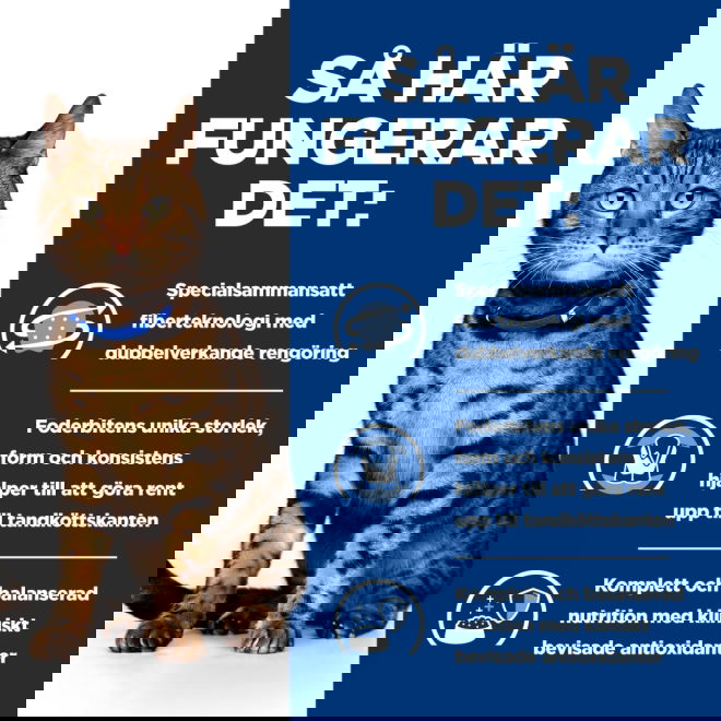 Hills Prescription Diet Feline t/d Dental Care Chicken