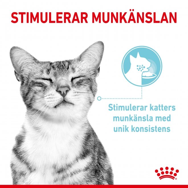 Royal Canin Sensory Feel 12x85 g