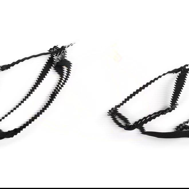 Basic Sweet Sele XXS (Svart)