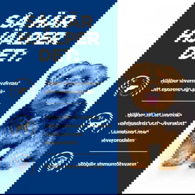 Hills Prescription Diet Canine l/d Liver Care 370 g