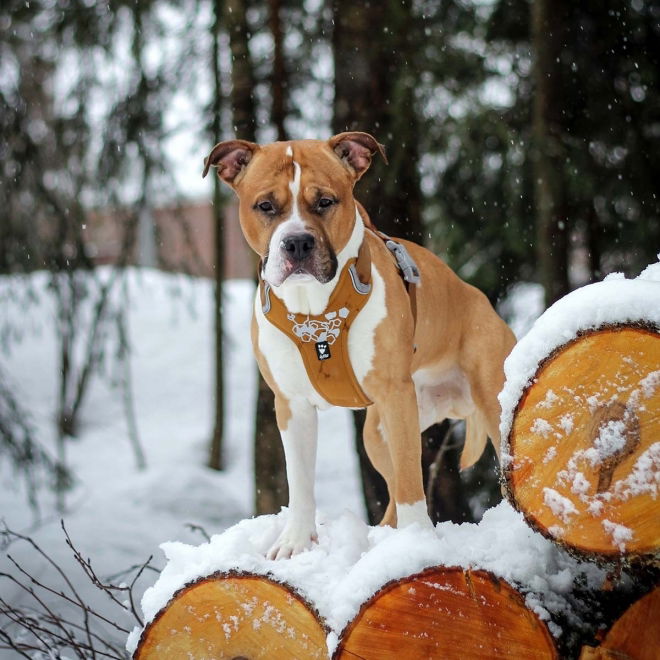 Hurtta Weekend Warrior Hundsele Brun