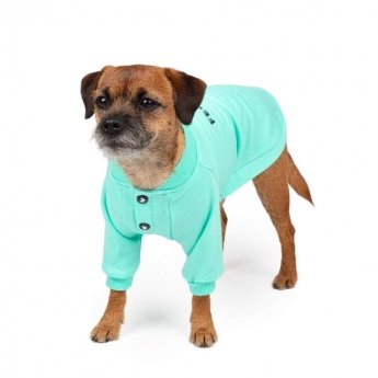 Koiran paita Feel Active Malm&ouml; minttu