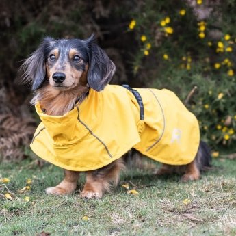 Rukka Hayton Eco koiran sadetakki, keltainen