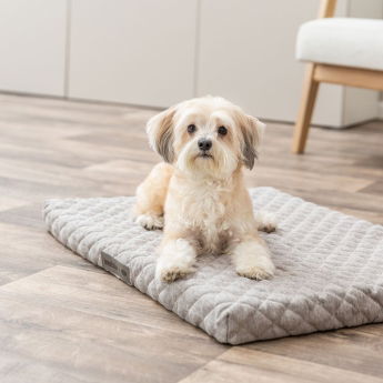 Ortopedinen patja Trixie Noah