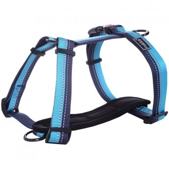 Rukka Beam koiran valjaat, sininen
